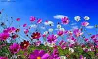 تبریک روز جهانی بهداشت و هفته بهداشت